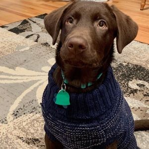 Meet your Posher, Heather